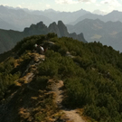 KOE_Im Mittelunkt des L__ndle 35_jpg-1286705302