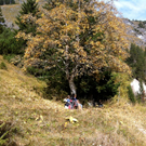 KOE_Im Mittelunkt des L__ndle 40_jpg-1286705347