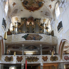 k-HZO apf2  010K2_jpg-1286718457