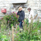 k-HZO 41JD500506_JPG-1286722748