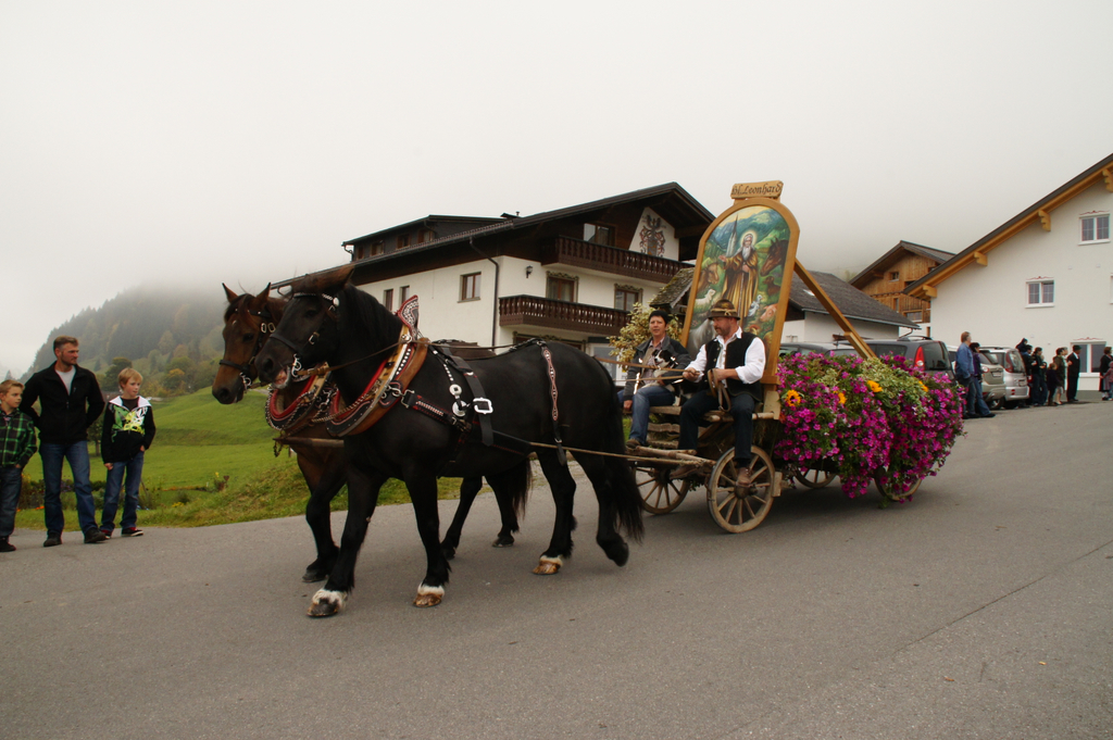 Prachtvolle Wagen.JPG