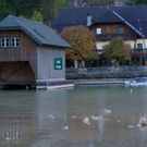 normal_09102010wolfgangseefmaktivnews_18.jpg