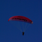 normal_09102010wolfgangseefmaktivnews_19.jpg