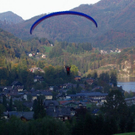 normal_09102010wolfgangseefmaktivnews_24.jpg