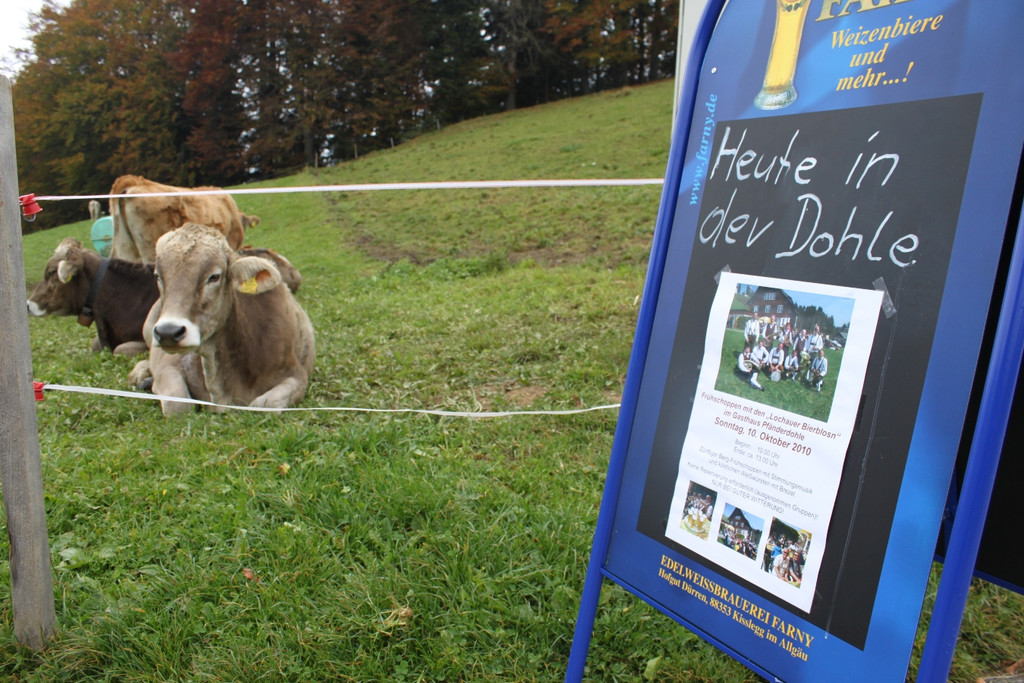 Bierblosn Dohle 2010 _7__jpg-1286729433