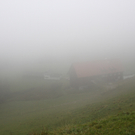 Bierblosn Dohle 2010 _8__jpg-1286729443