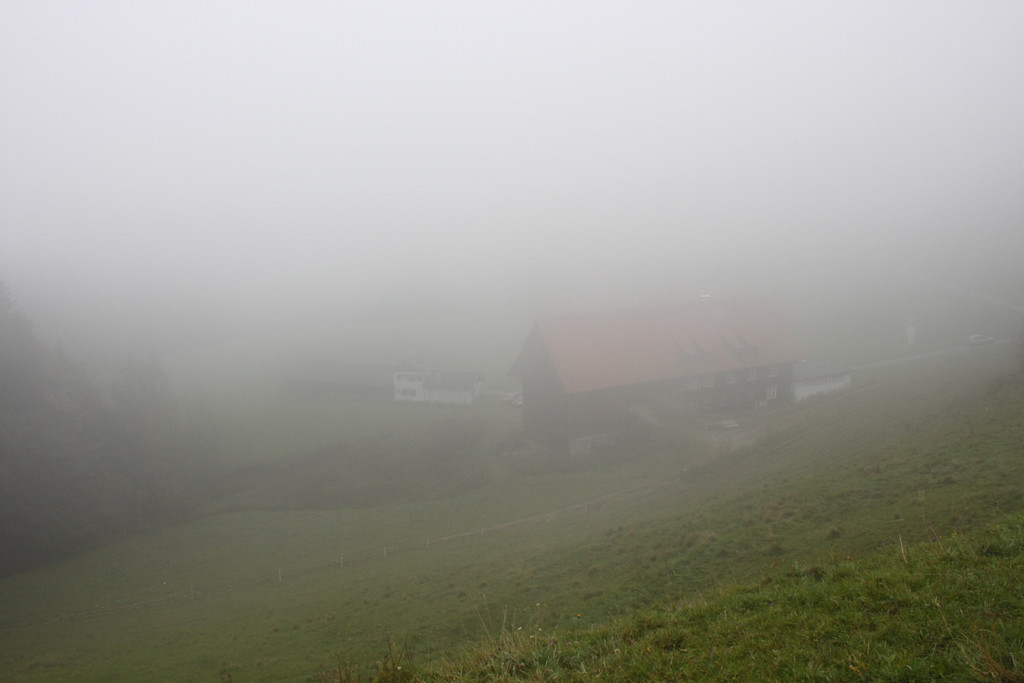 Bierblosn Dohle 2010 _8__jpg-1286729443