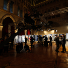 wienwahl 2010 - rathaus - florian wieser _50_.jpg