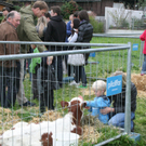 k_kfest 10_10_10 002.jpg