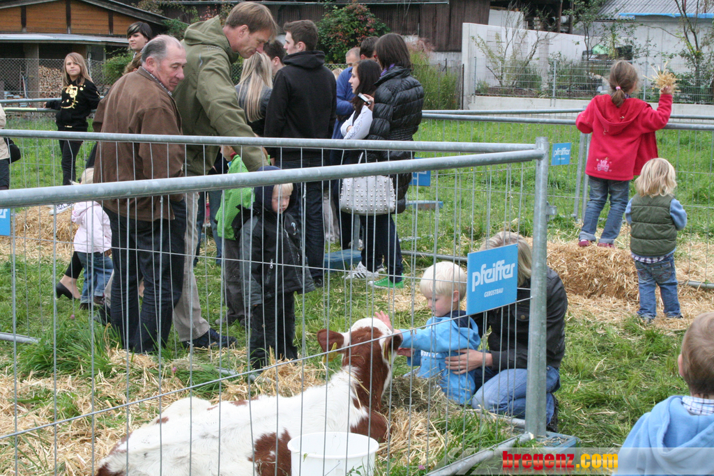 k_kfest 10_10_10 002.jpg