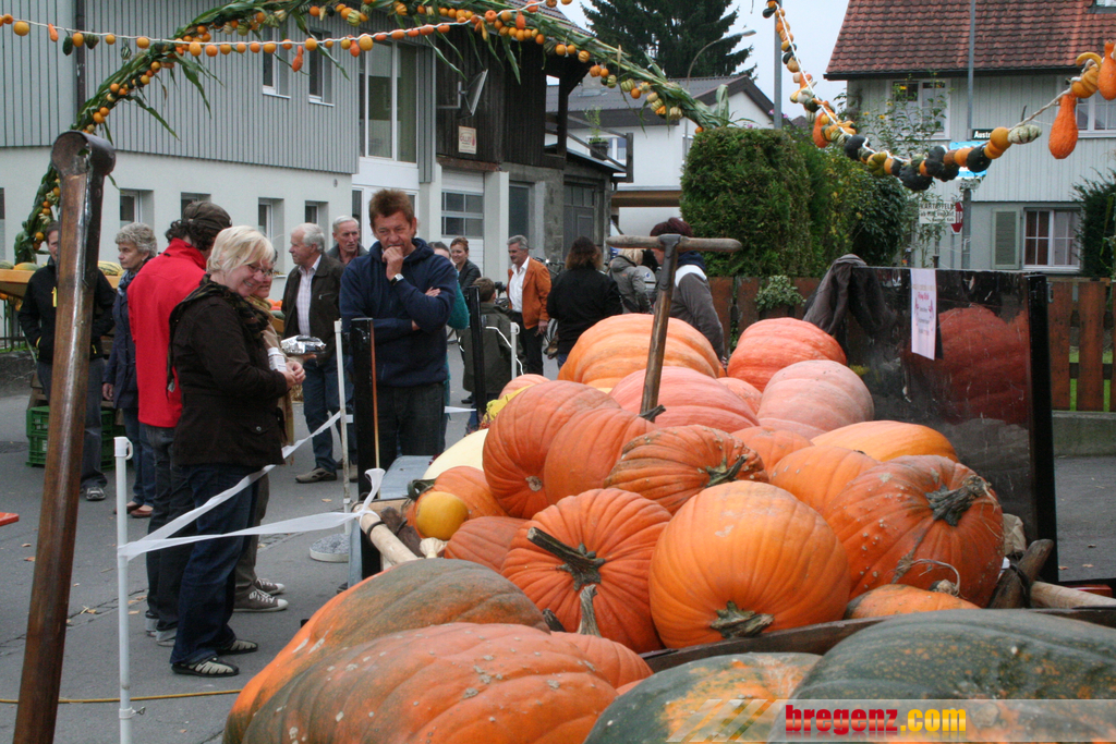 k_kfest 10_10_10 005.jpg