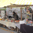 IMG_5581_JPG-1286733675