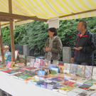 IMG_5582_JPG-1286733720