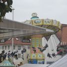 IMG_5619_JPG-1286734496