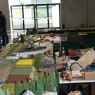 IMG_8463.JPG