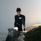 IMG_8502.JPG