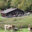 DSC01800.JPG
