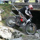IMG_6484.jpg