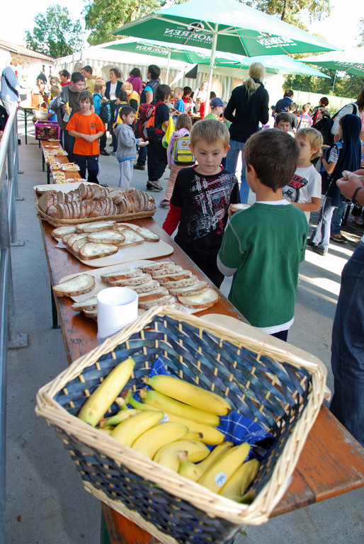 DSC_0178_JPG-1286749498