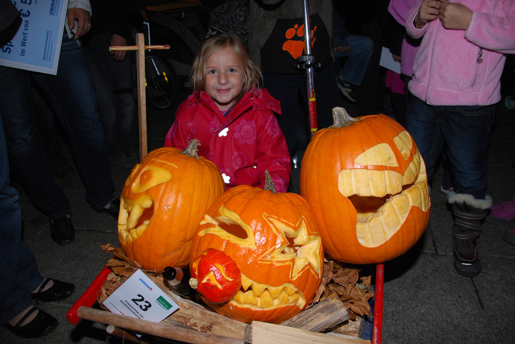 DSC_0223_JPG-1286755695