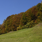 k-_DSC1158_JPG-1286757825