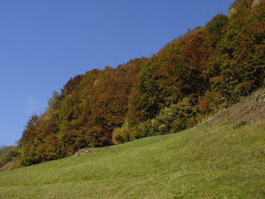 k-_DSC1158_JPG-1286757825