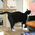 Tiere der Woche KW 40