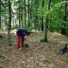 Hirschr__tte _20_.jpg