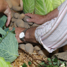 Erntedank09.JPG