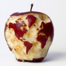 unbelivable-non-photoshopped-images-03.jpg