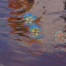 unbelivable-non-photoshopped-images-13.jpg