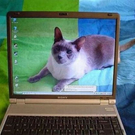 unbelivable-non-photoshopped-images-26.jpg