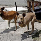 unbelivable-non-photoshopped-images-36.jpg