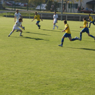 DSC07459_JPG-1286789929