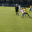 DSC07479_JPG-1286790115