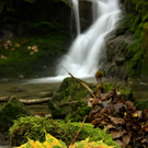 Herbstimpressionen von der Bezegg