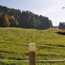 Der neue Hof in der Bozenau