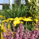VOL Live zu Besuch im Gartenpark Geringer