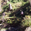100_4960.JPG