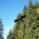 100_4996.JPG