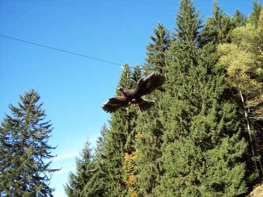 100_4996.JPG