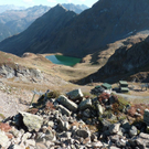 k-P1010448.JPG