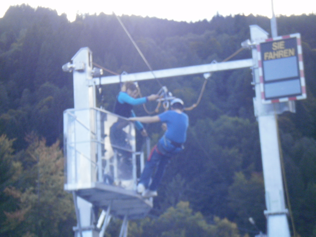 Flying_Fox.JPG