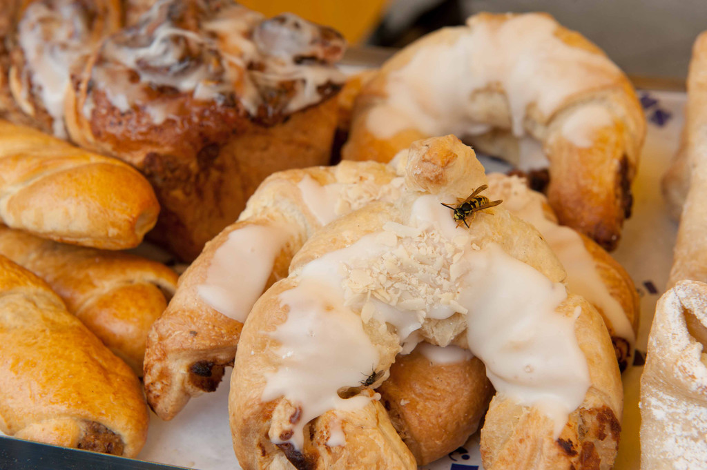 Ein guter Morgen_jpg-1286866095