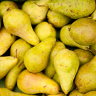 Einfach Birne_jpg-1286866096