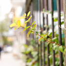 Jung und Schr__g_jpg-1286866101