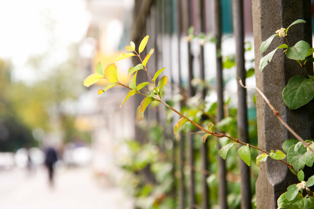 Jung und Schr__g_jpg-1286866101