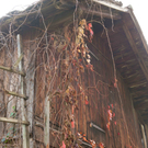 W__rdig alt_jpg-1286866108