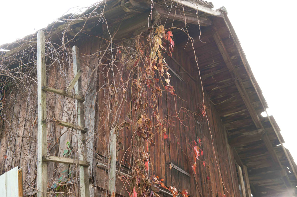 W__rdig alt_jpg-1286866108