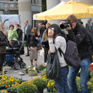 DSC_0064_jpg-1286866133